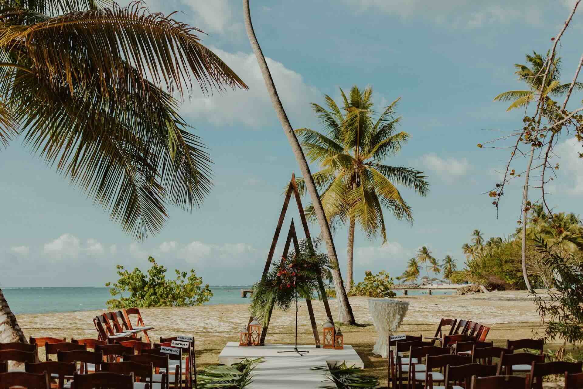 The palm trees, ocean, and ceremony aisle at our beach wedding